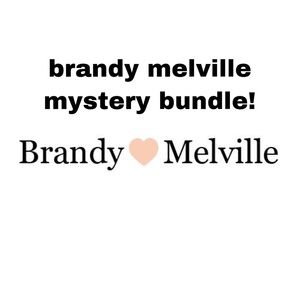 brandy melville mystery bundle!